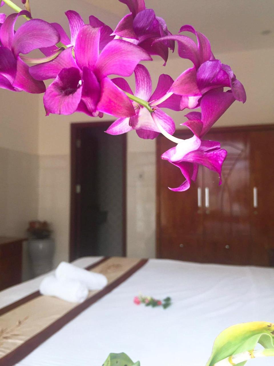 Holy Land Homestay Хоян Екстер'єр фото